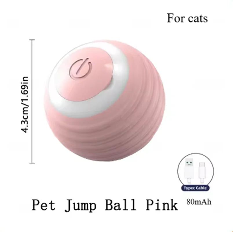 Magic Ball Toys for Cat