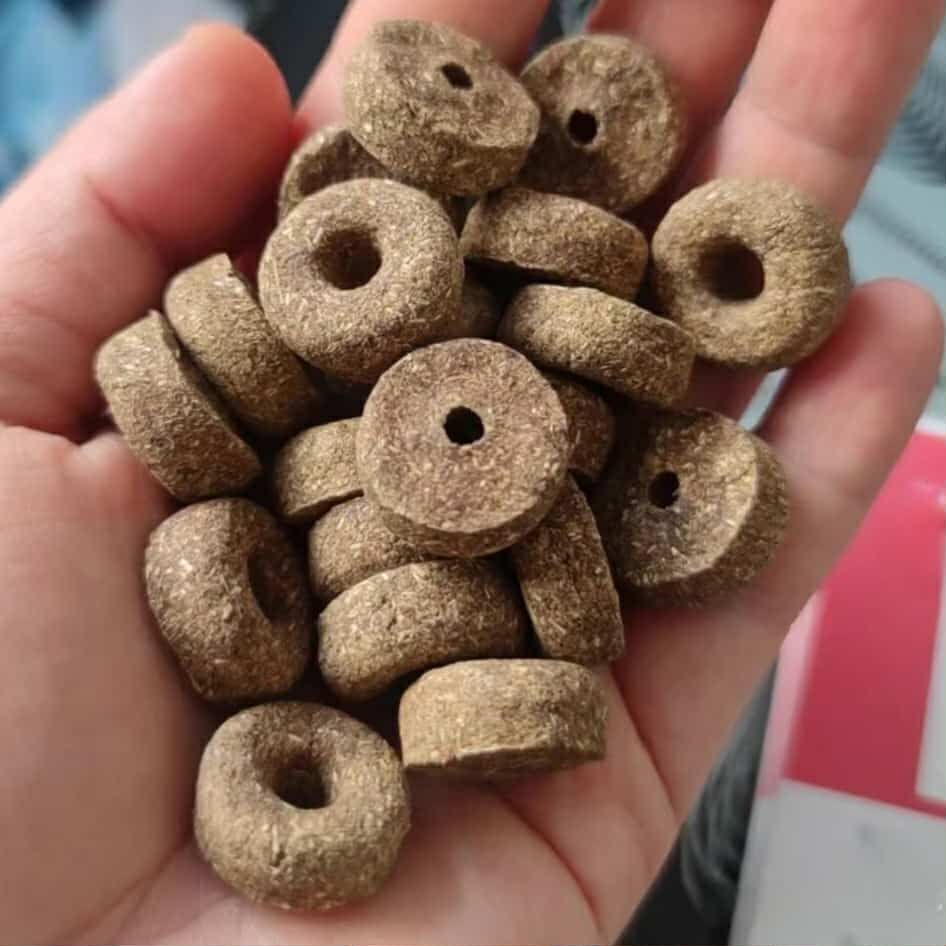 Strawberry mint mini donuts