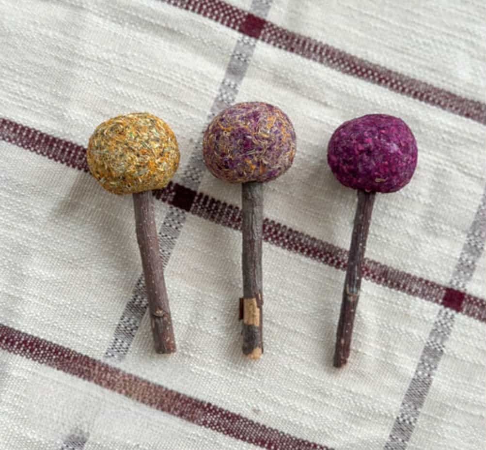 Rainbow hay lollipop set