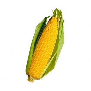 ذرة