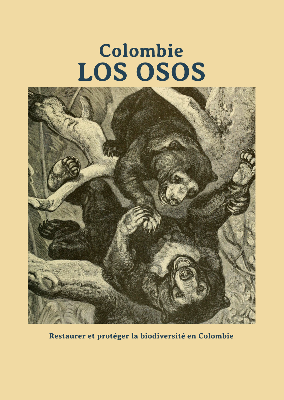 COL - LOS OSOS