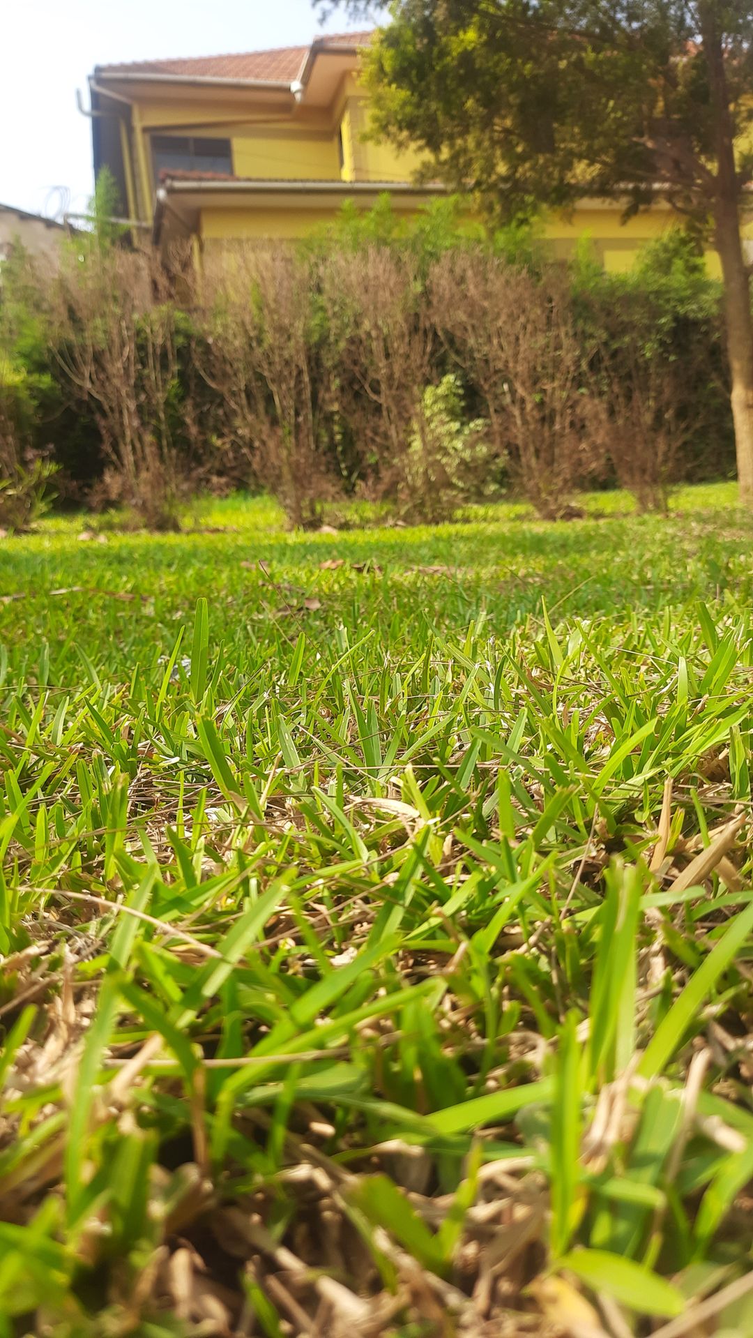 Gardens Venue