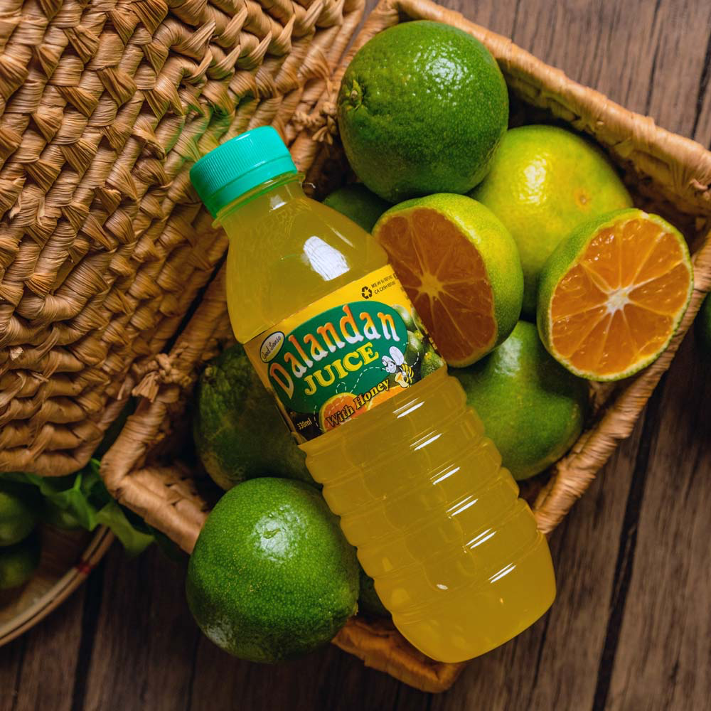 Good Sense Dalandan Philippine Orange Ready-to-drink 50x330ml