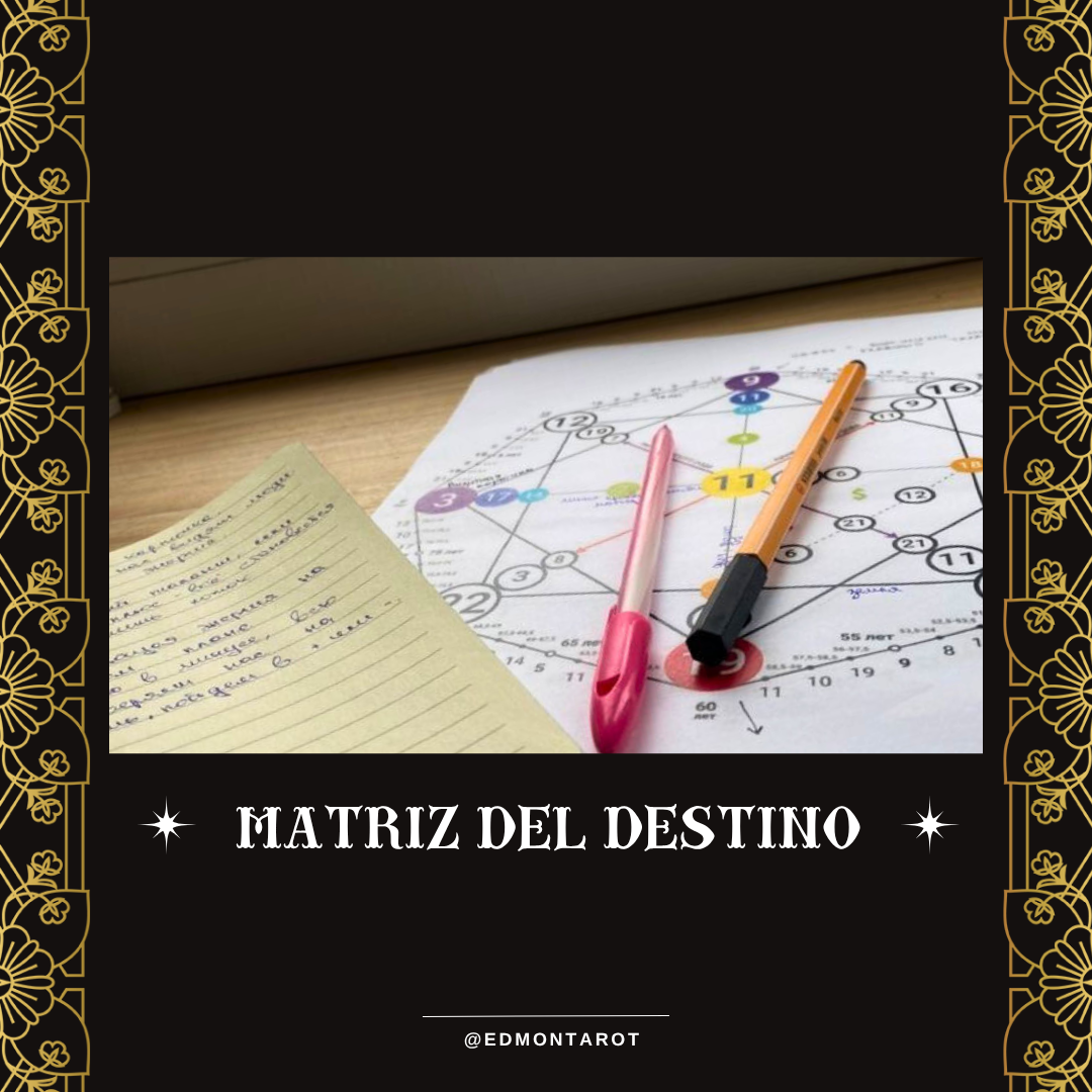 Elaboración y análisis de la Matriz del Destino en 24 horas o menos