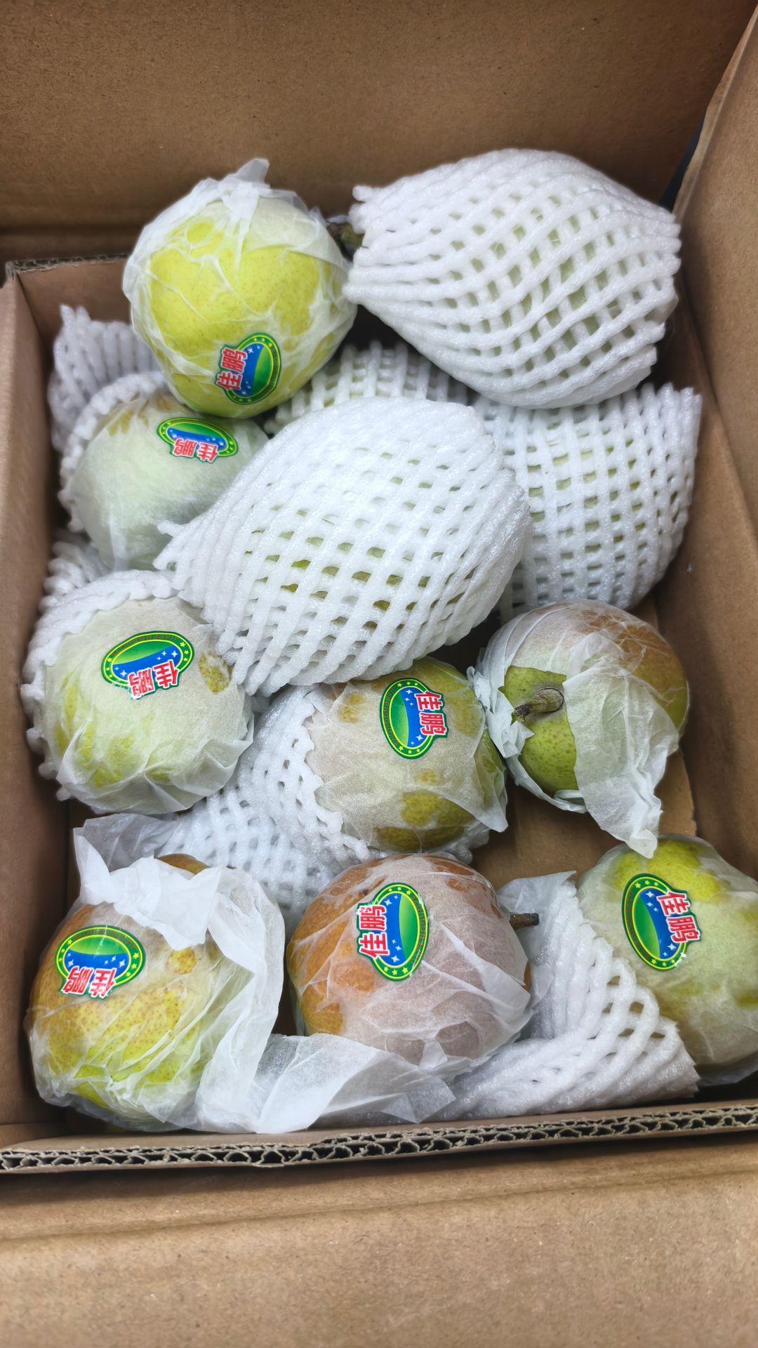 Fragrance Pear