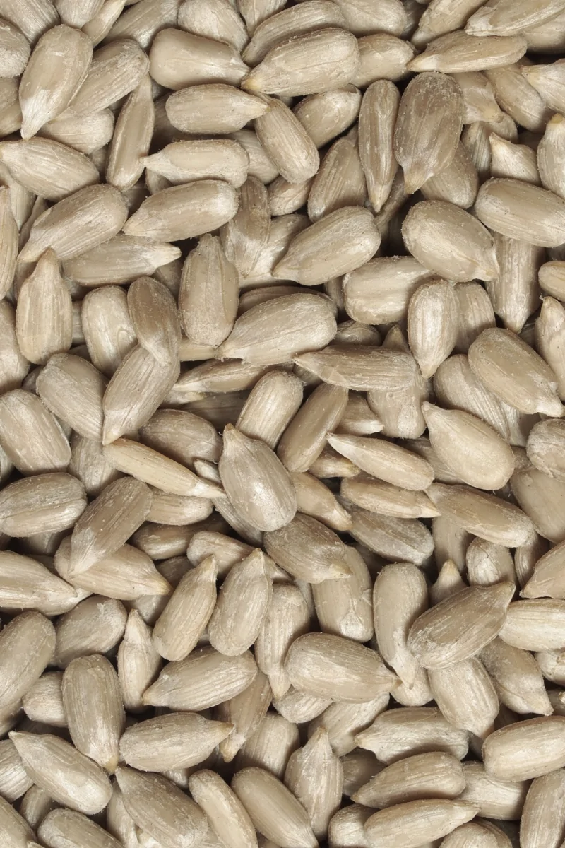 Sunflower Seeds