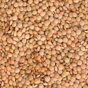 Brown Lentils