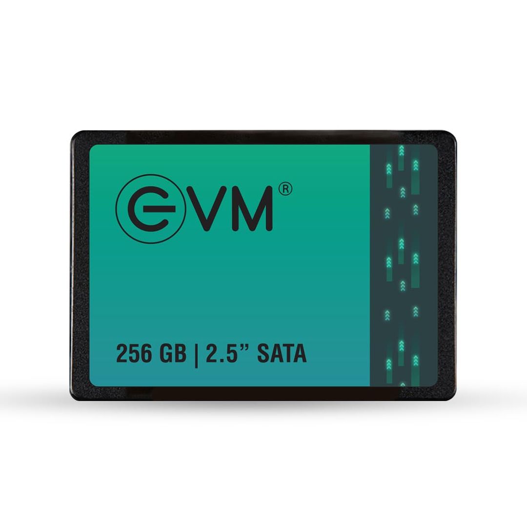 EVM 256GB 2.5-Inch SATA Internal SSD (EVM25/256GB)