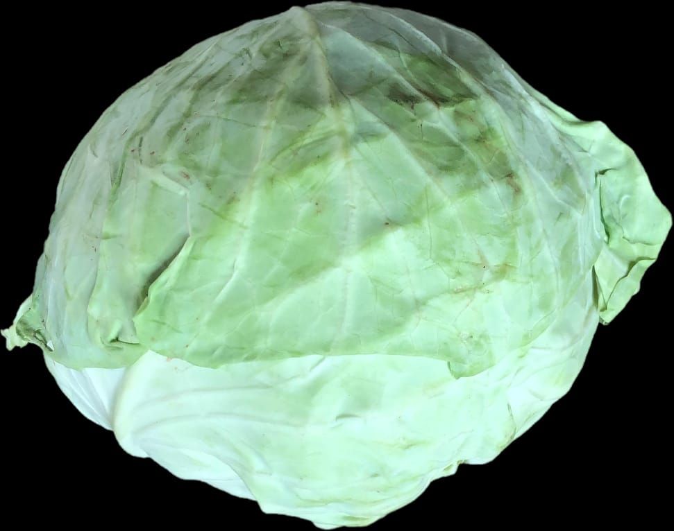 Cabbage Each (3-4kg)