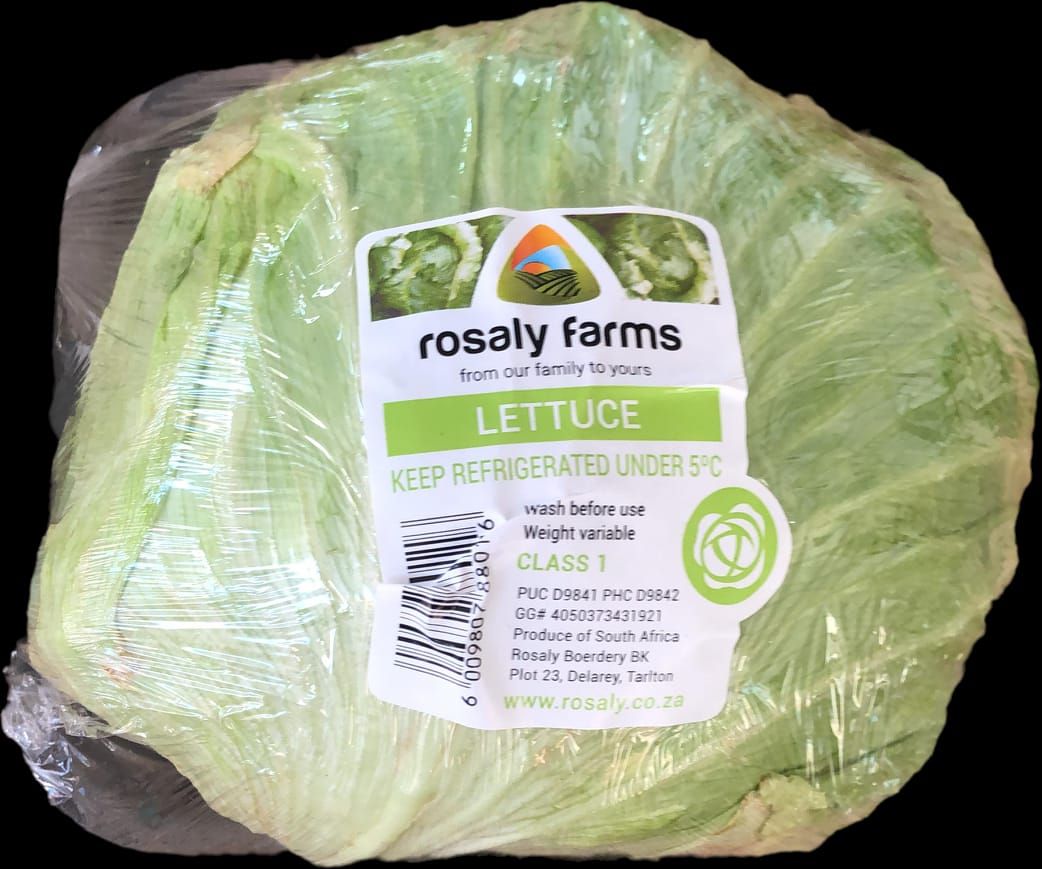 Lettuce-Iceberg