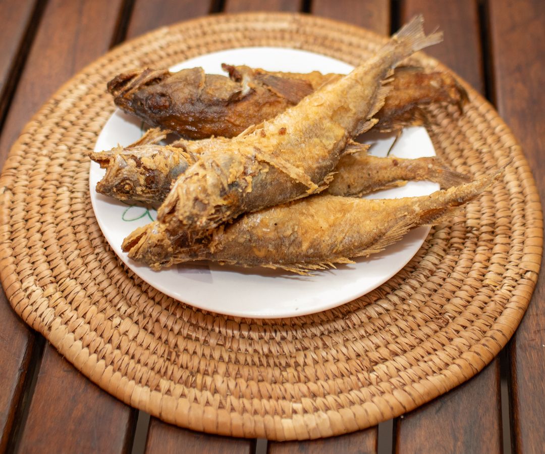 Fried Croaker