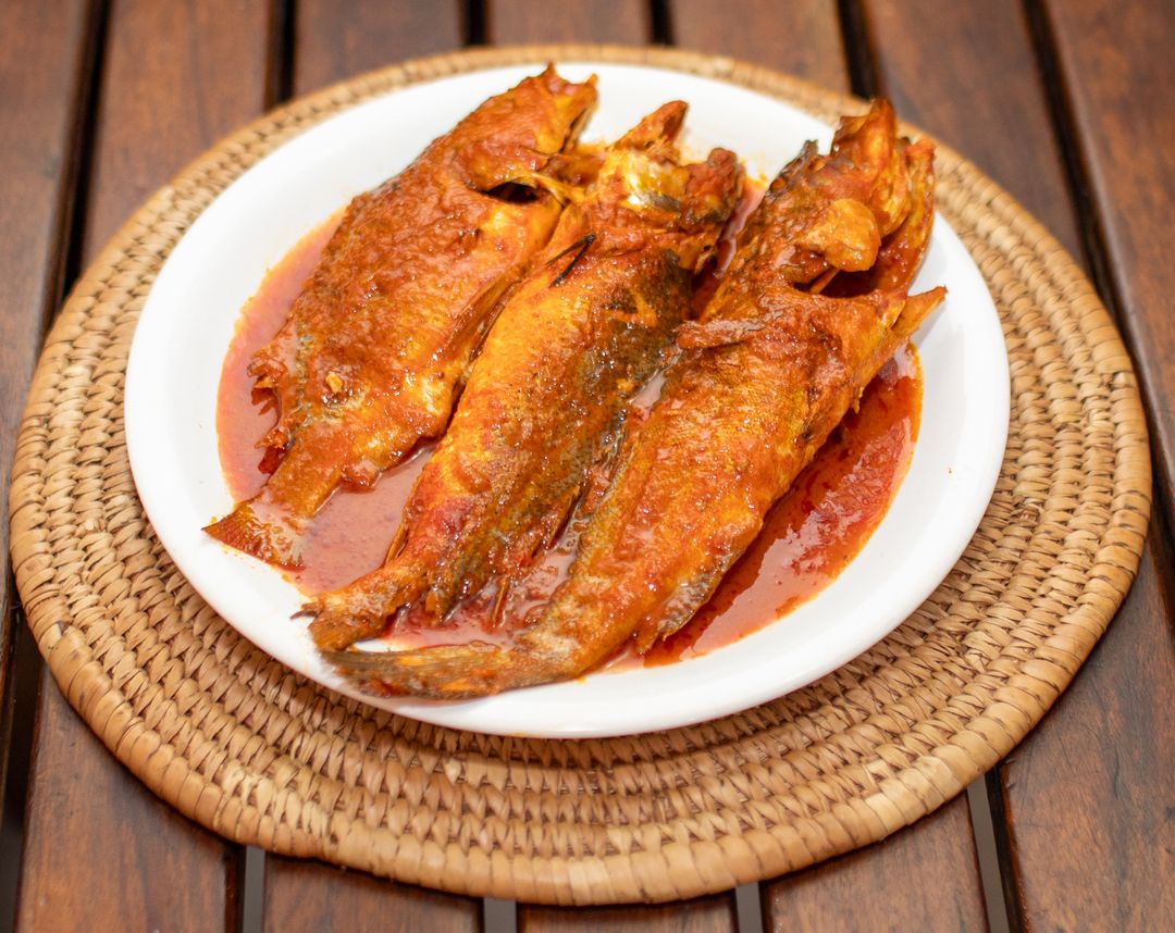 Fresh Croaker