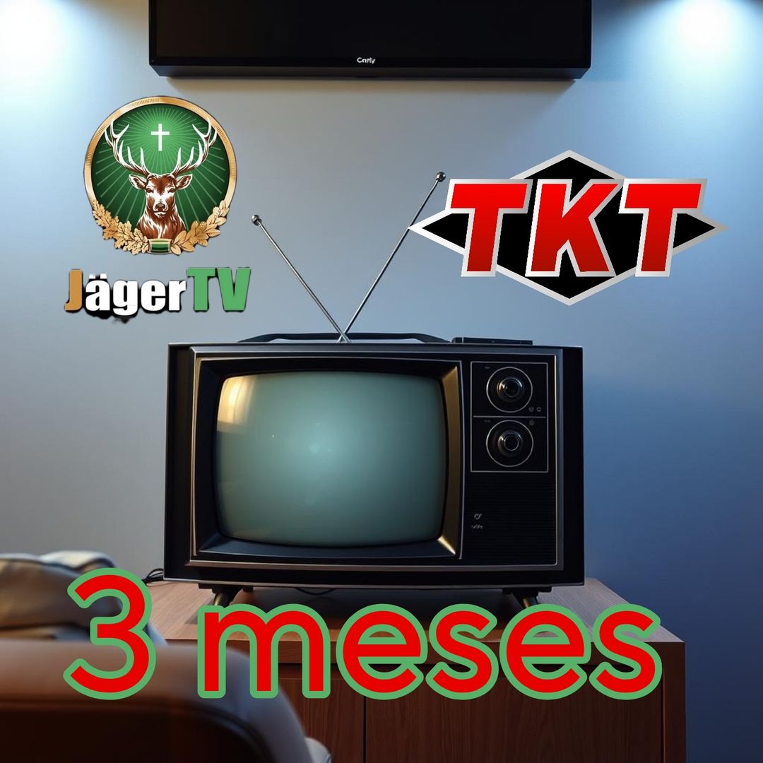 3 meses