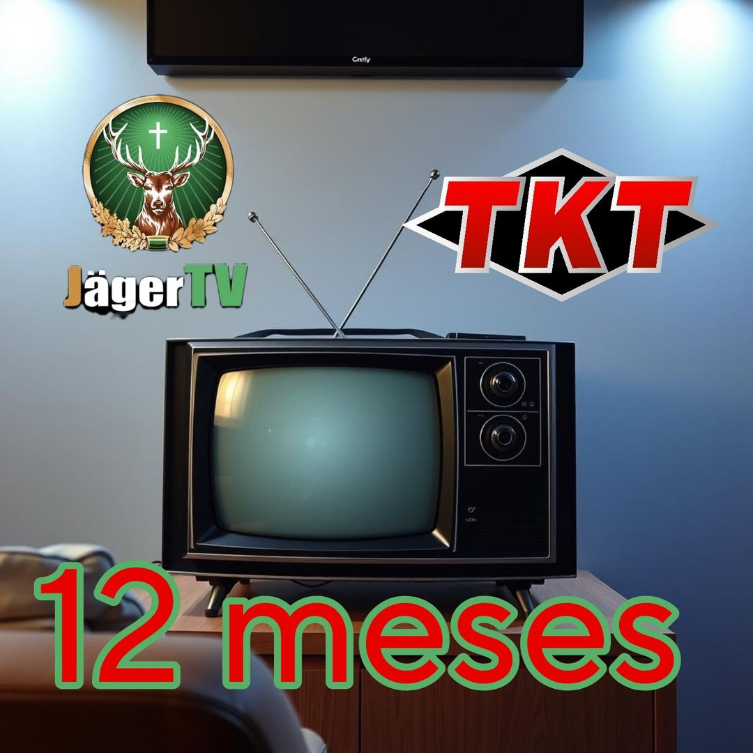 12 meses