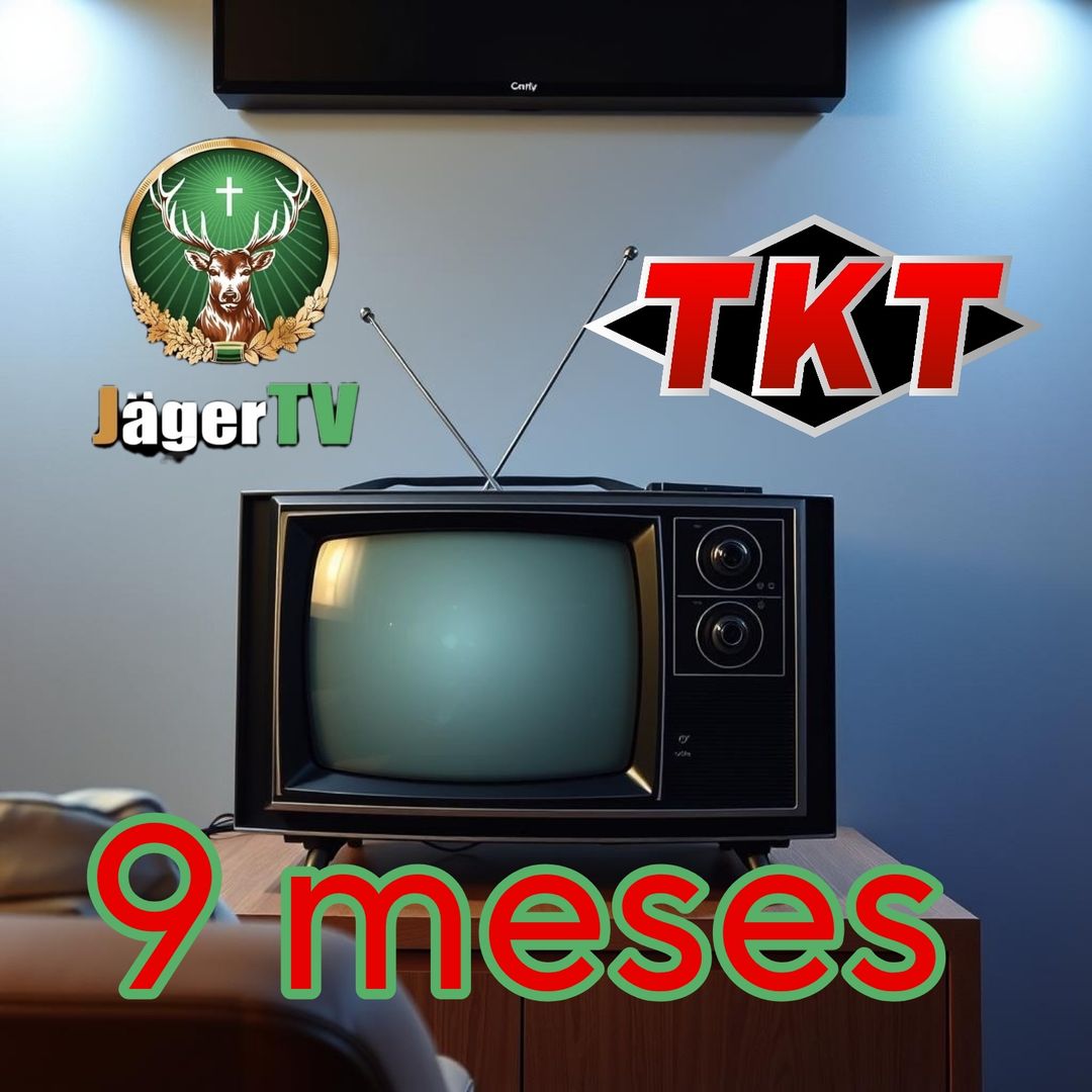 9 meses