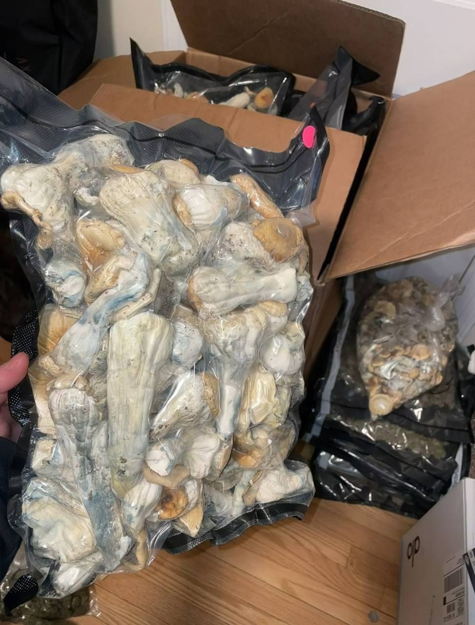 Yaks Shrooms