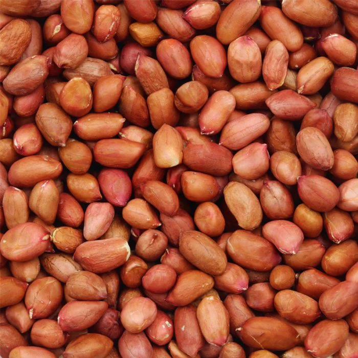 Giant Redskin Peanuts