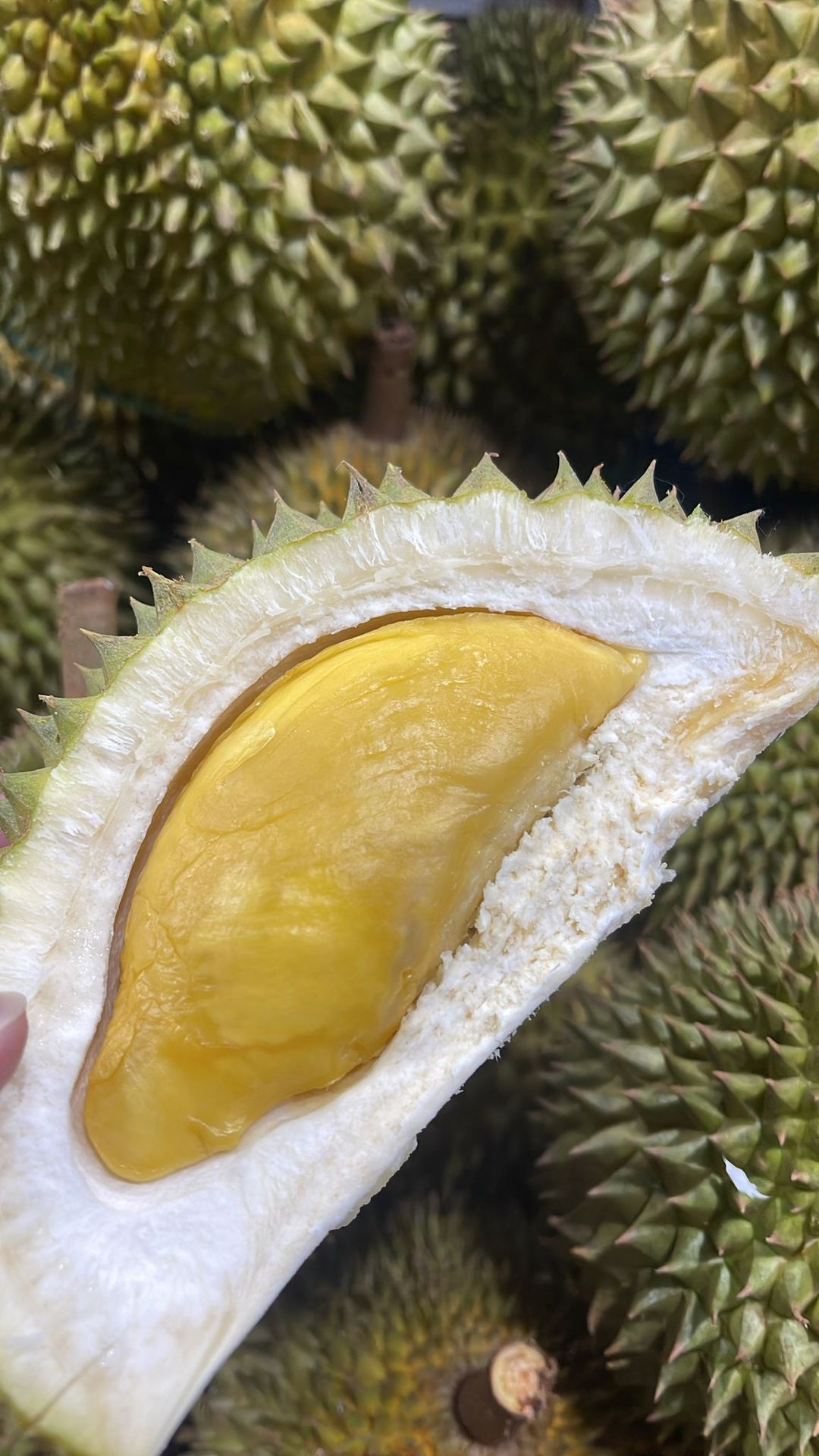 400-420g Dream lover (Bitter sweet) 小情人 （甜带苦味）
