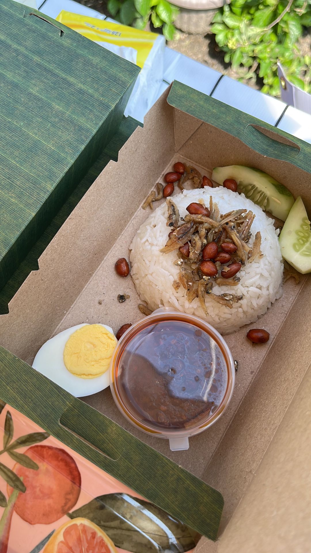 Nasi Lemak Biasa