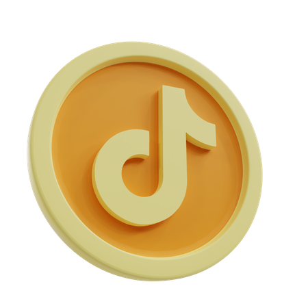 239 pièces tiktok