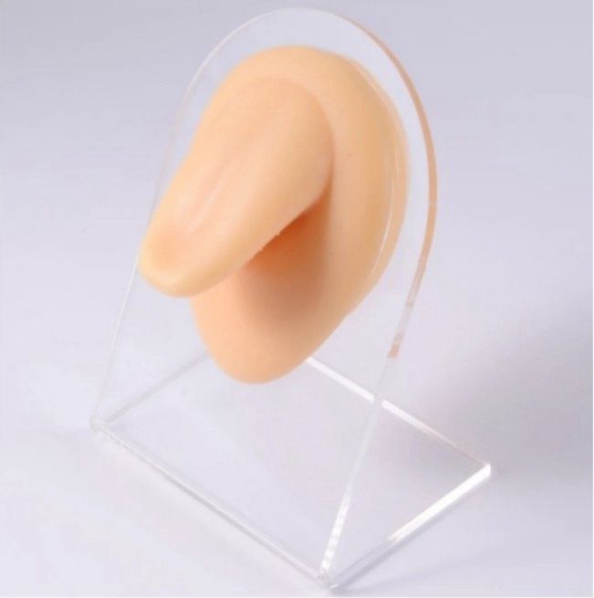 Tongue silicone display