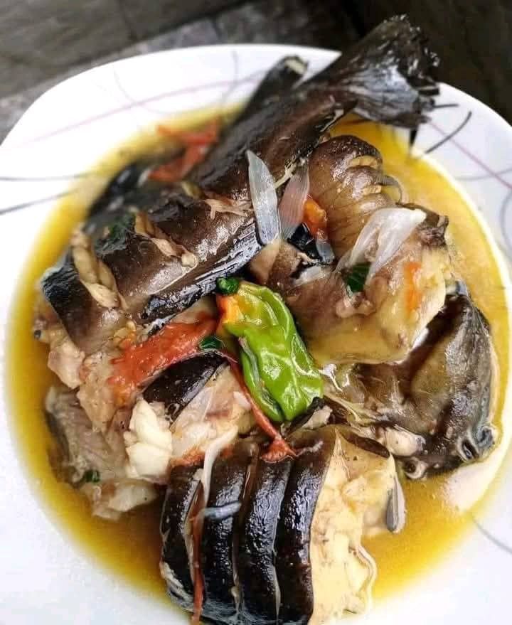 Ngolo bouillon