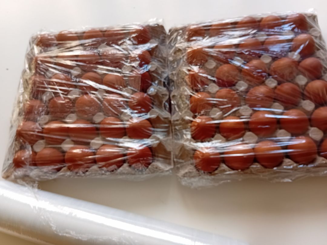 2 trays of eggs 