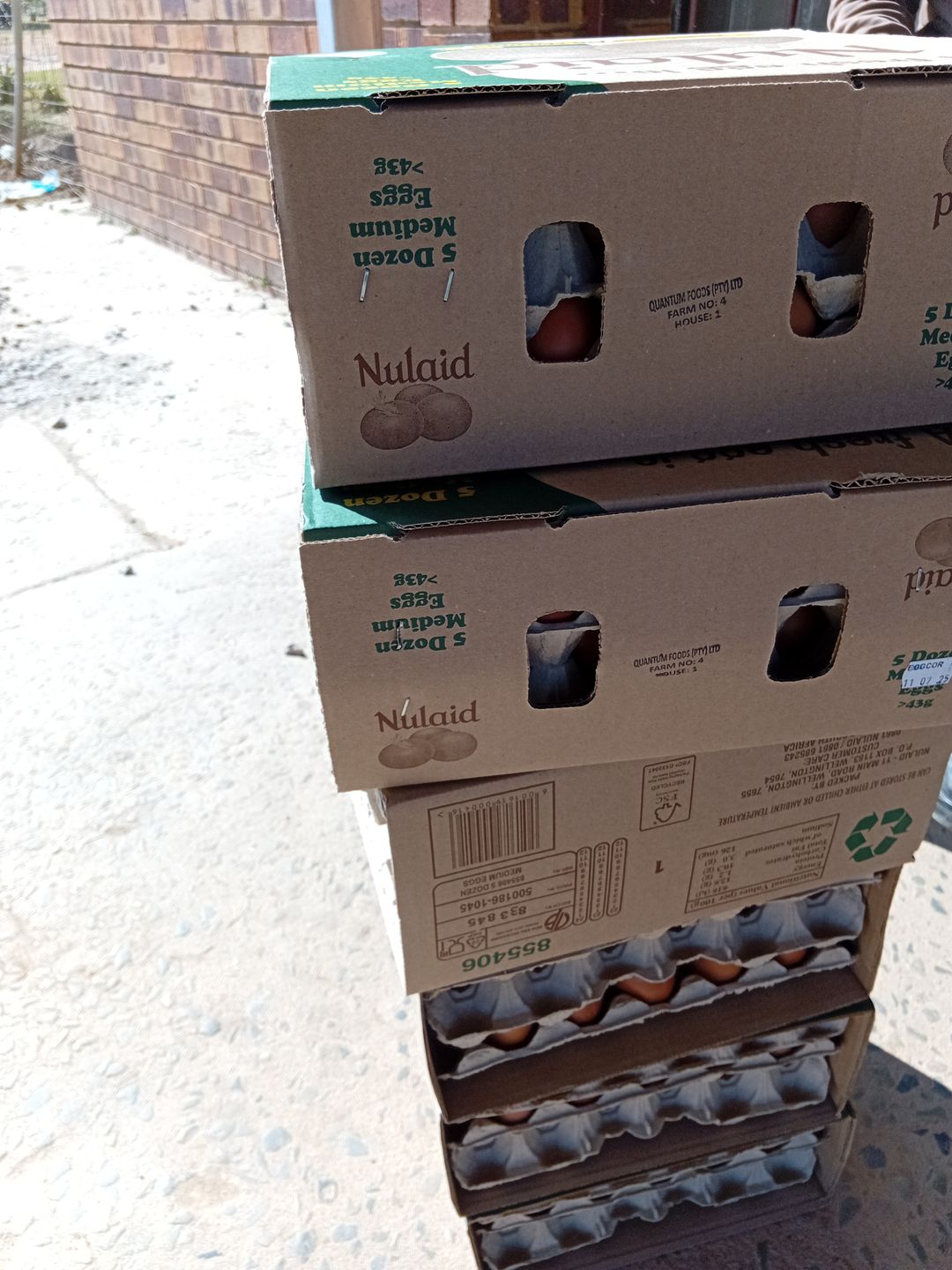 A box of small 12 trays 360 eggs 