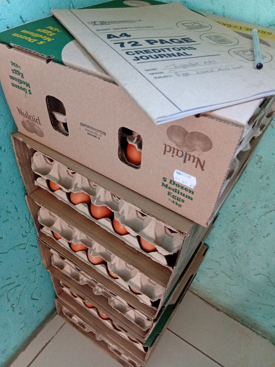 12 trays of medium eggs box 