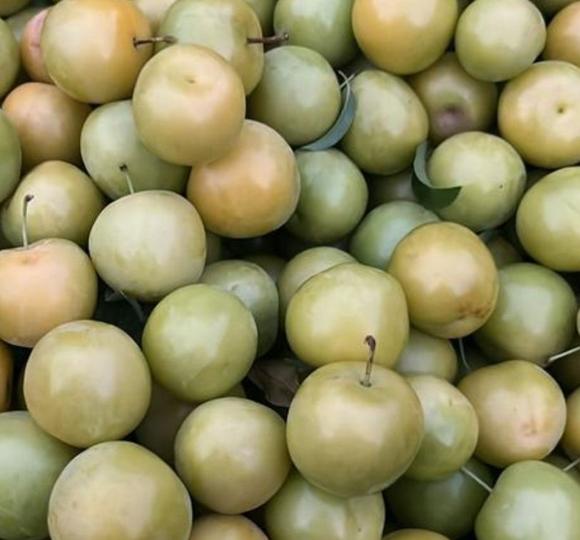 Zure pruimen / Turkish plums