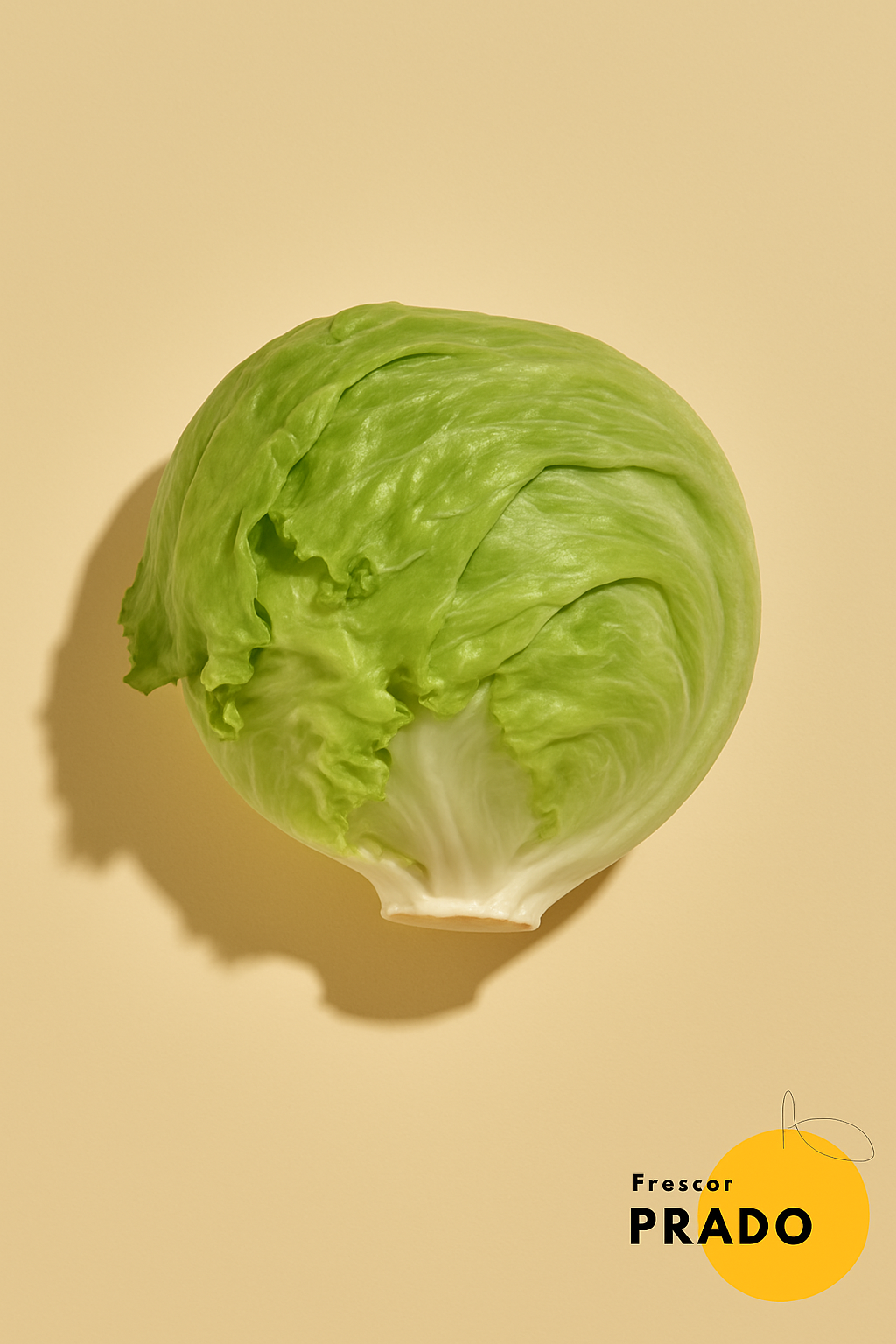 Lechuga Iceberg