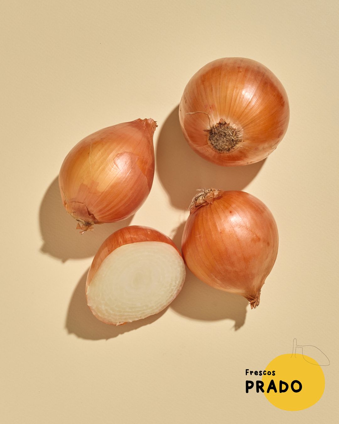 Cebolla