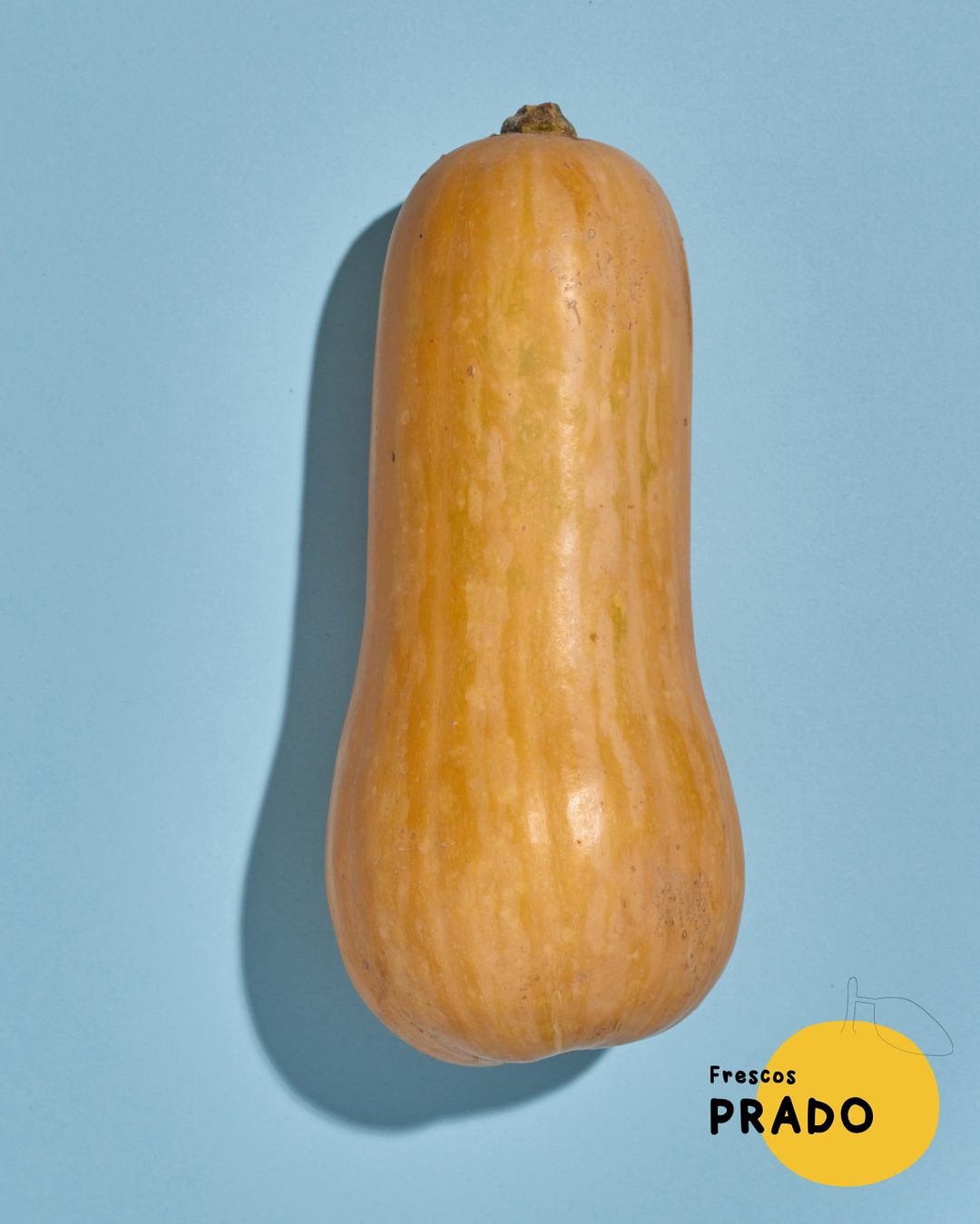 Anco