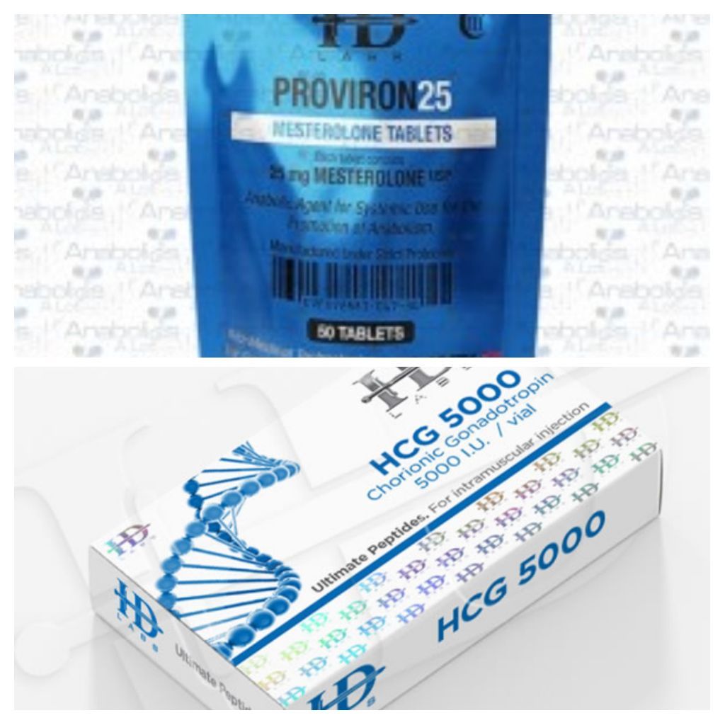 PCT Support Stack After Cutting or Lean Muscle Building Cycle 