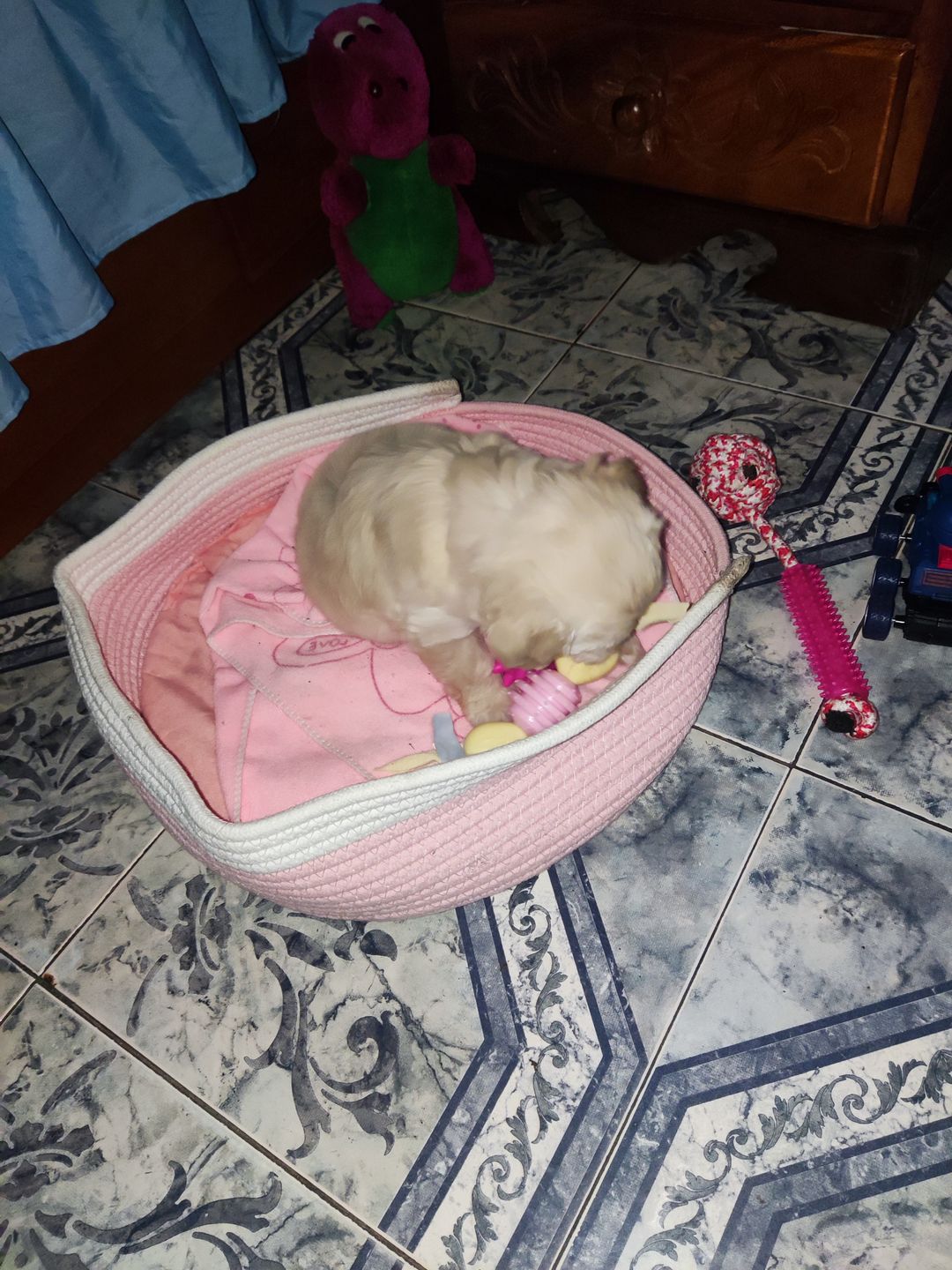 Prueba 2