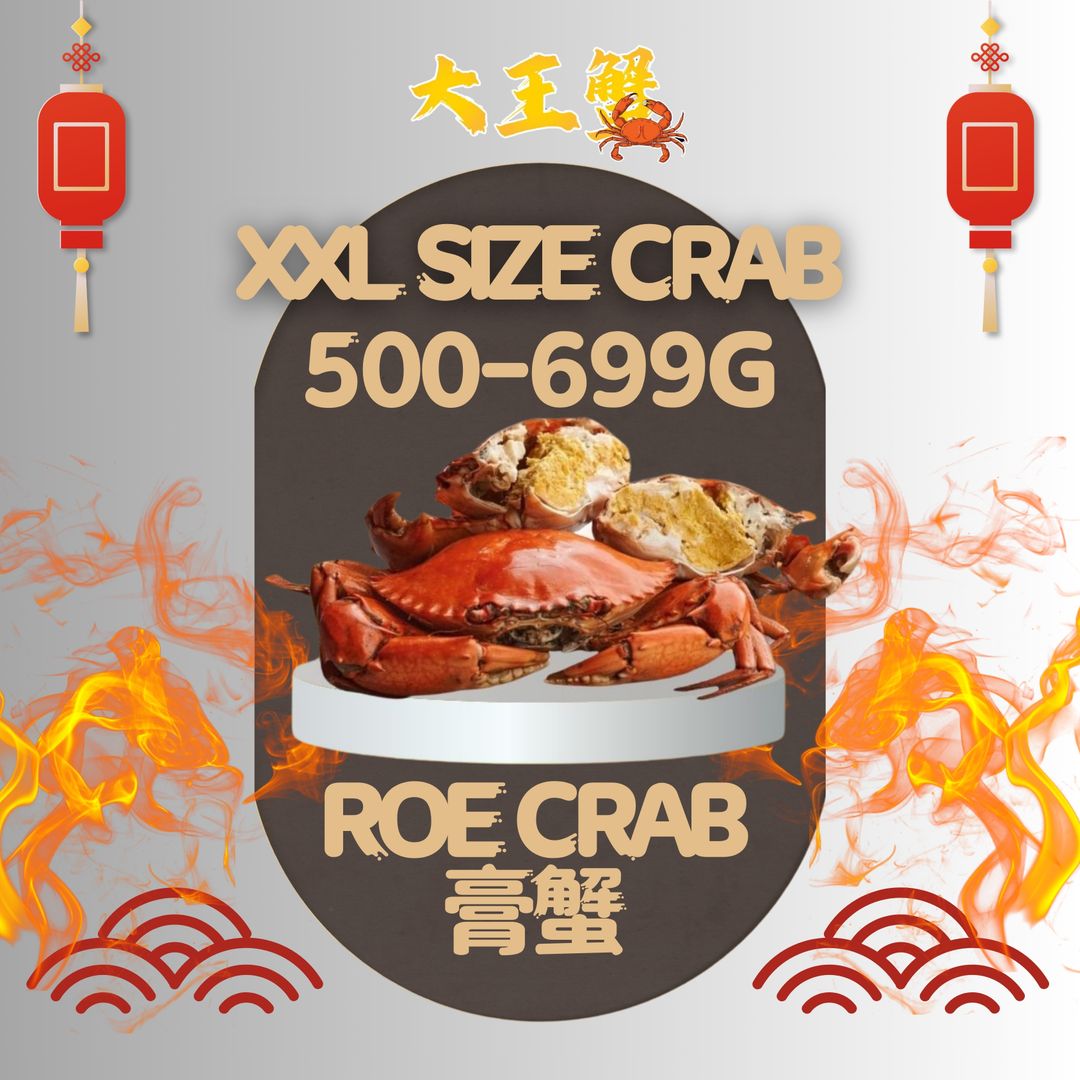 XXL SIZE 膏蟹 (500-699G)
