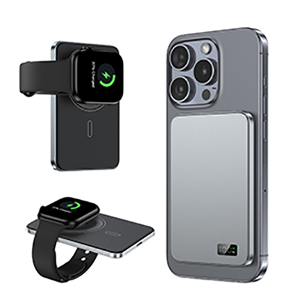 Powerbank (type B)