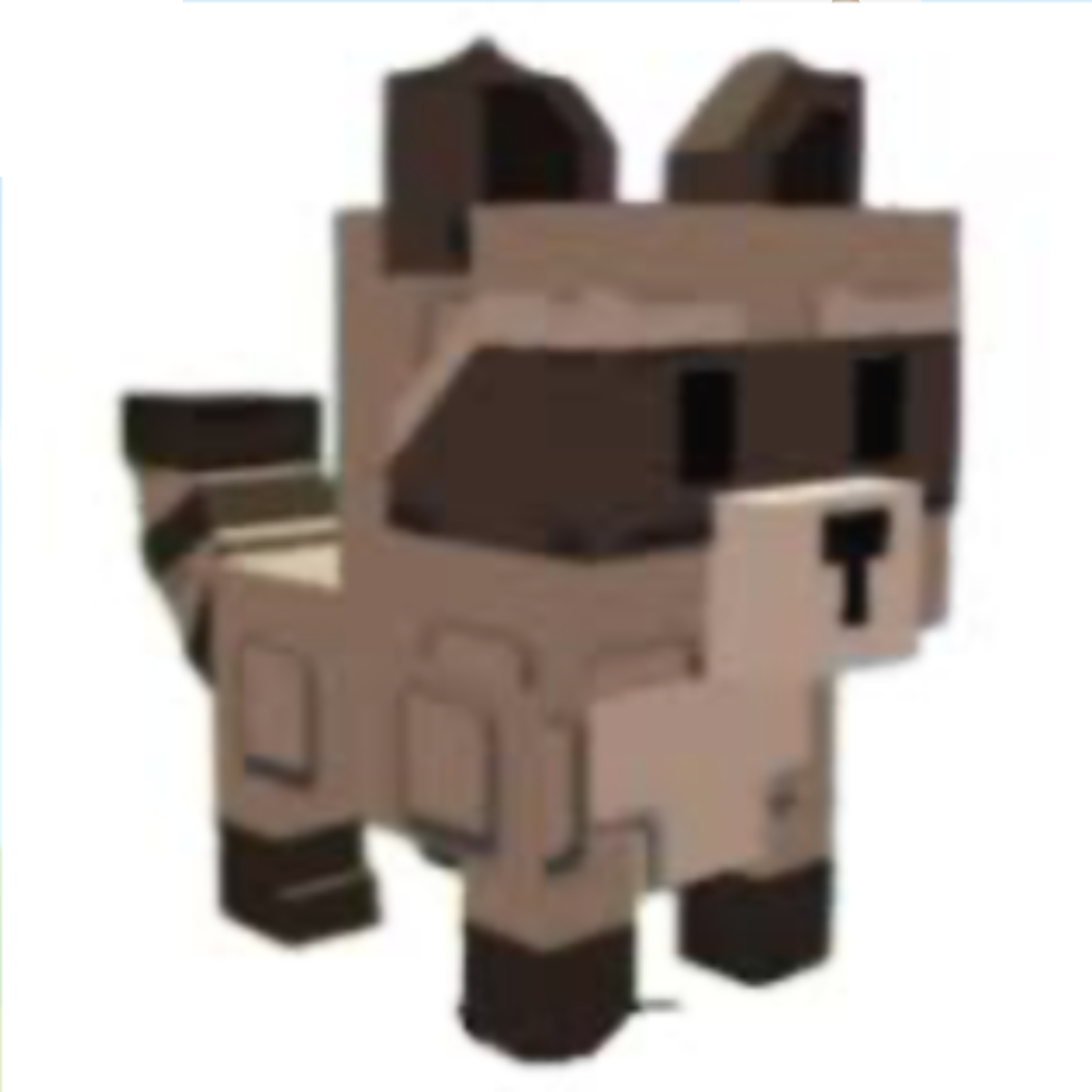 Raccoon