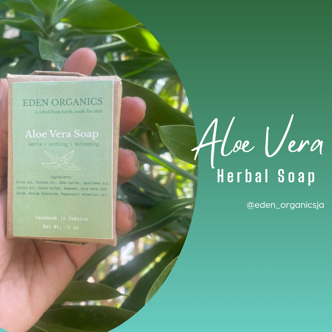 “REFRESH”: Aloe Vera Soap
