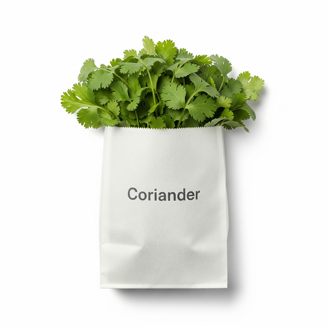 Coriander