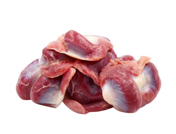 Gizzards