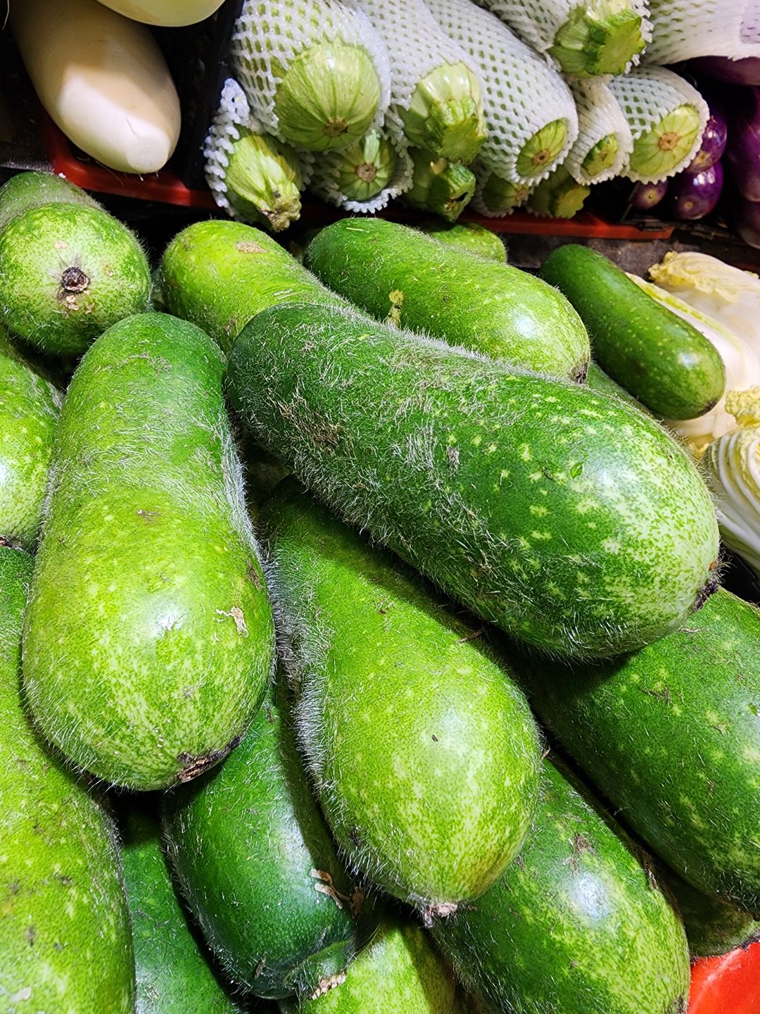 節瓜🥦（3隻）