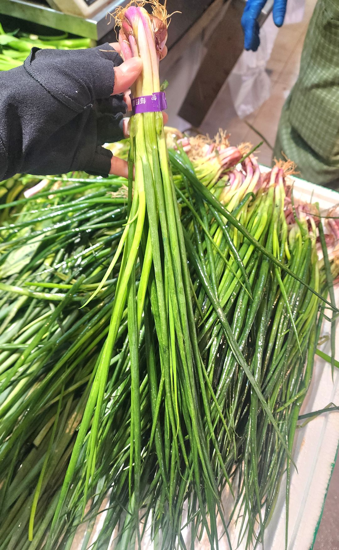 青蔥🥦（札）