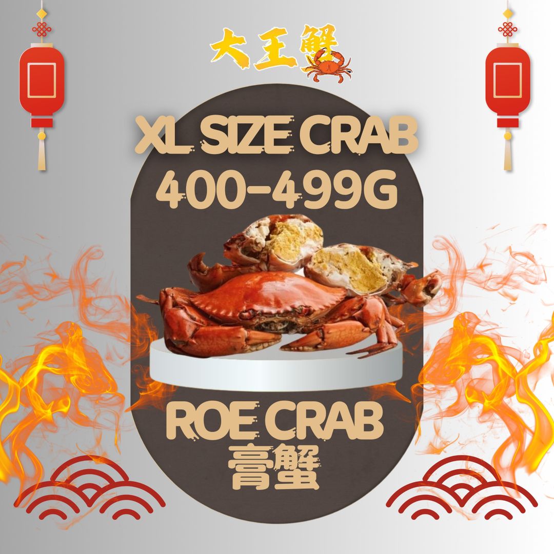 XL SIZE 膏蟹 (400-499G)   