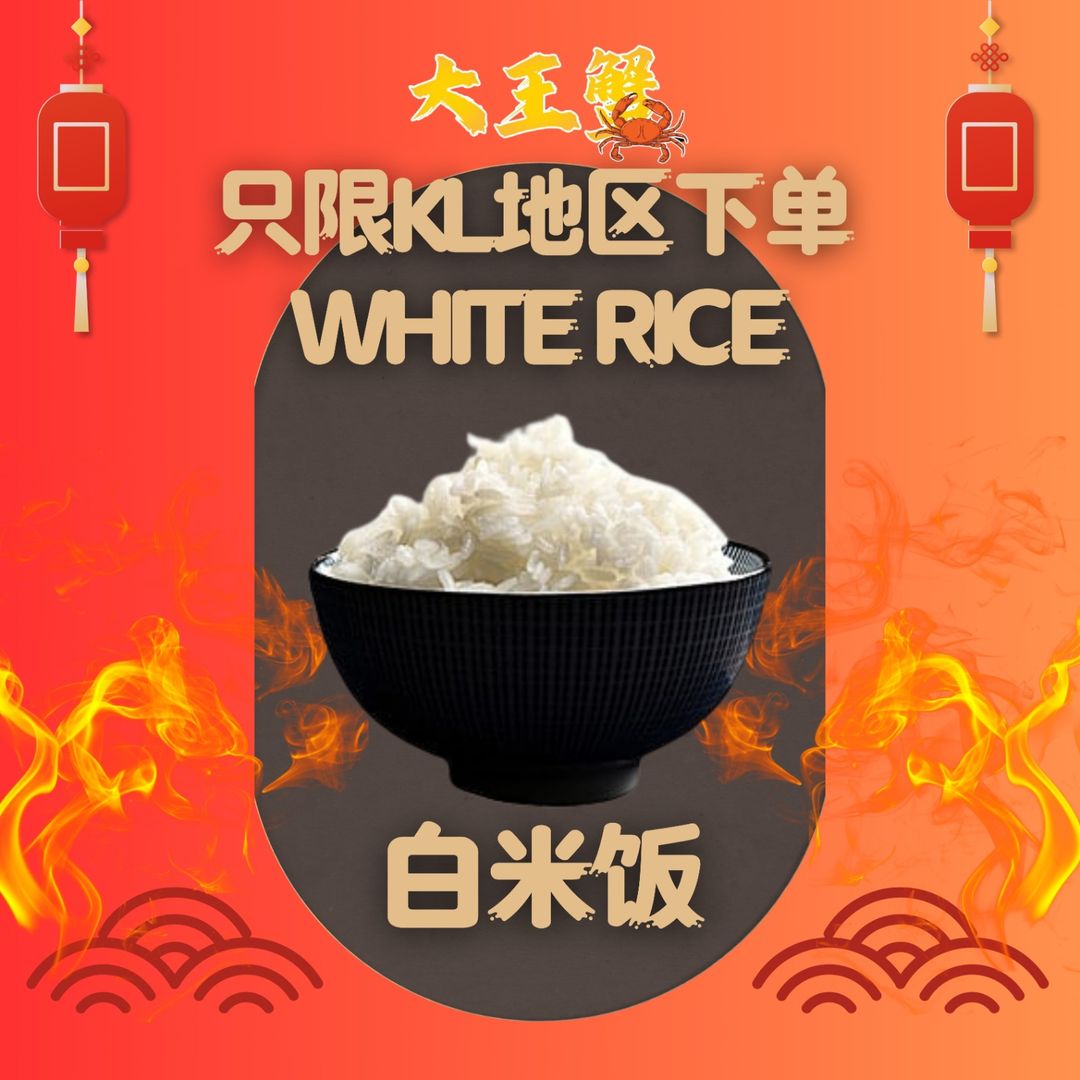Rice 米饭 
