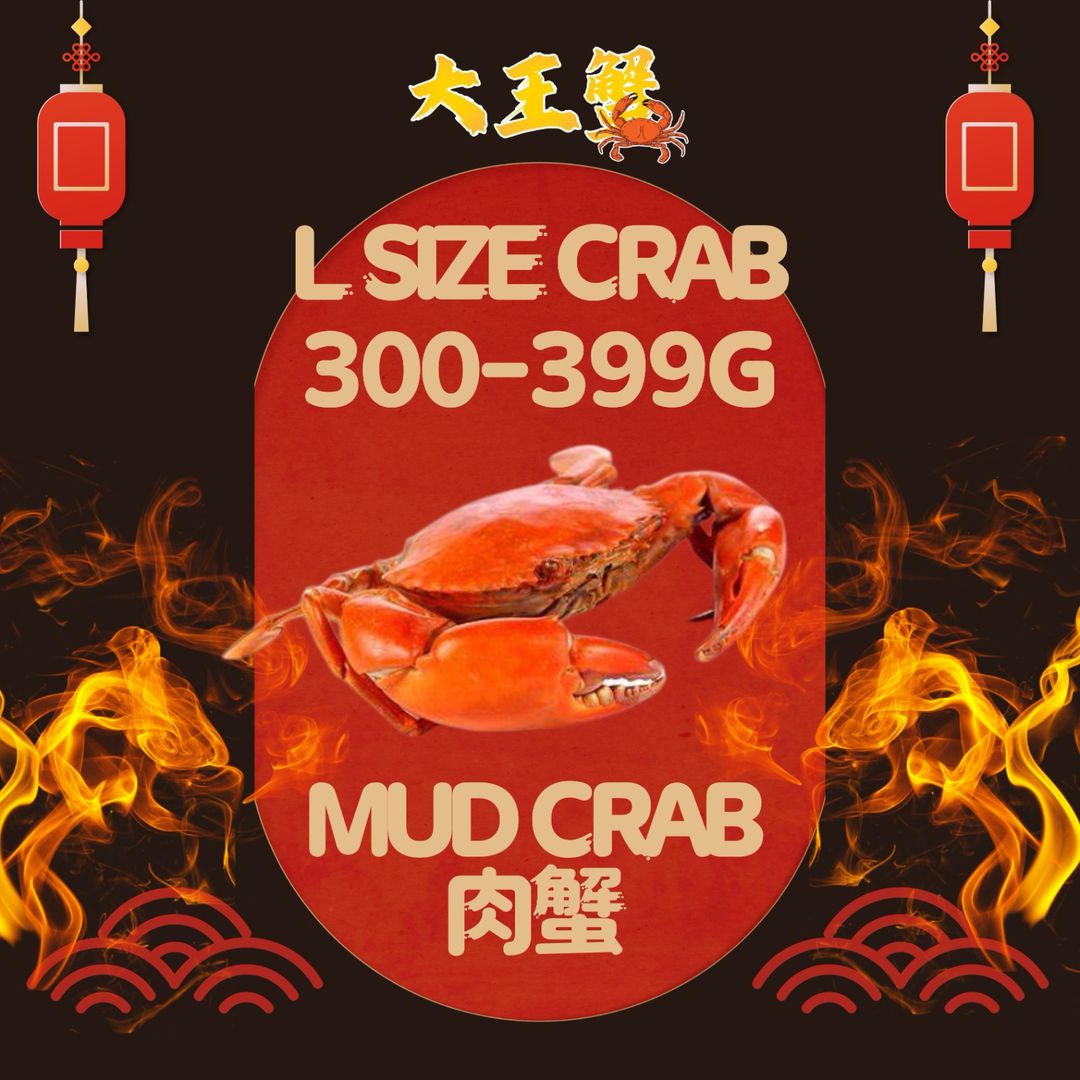 L SIZE 肉蟹  (300-399G) 