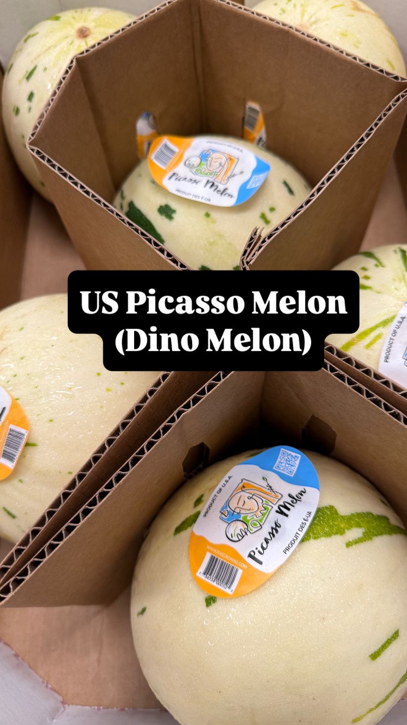 US PICASSO MELON (Dino Melon)