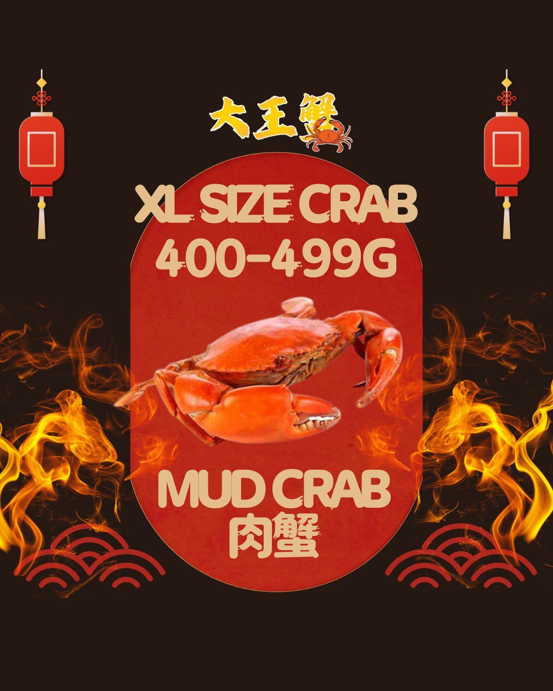 XL SIZE 肉蟹 (400-499G)