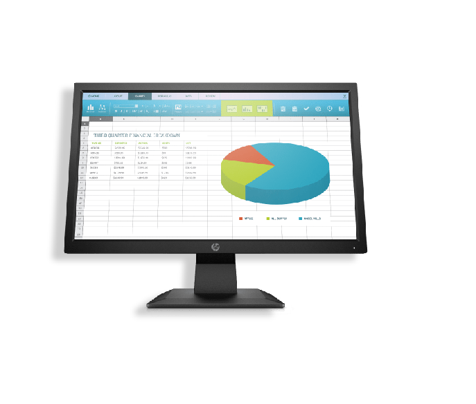 HP P204v 19.5-inch Monitor 