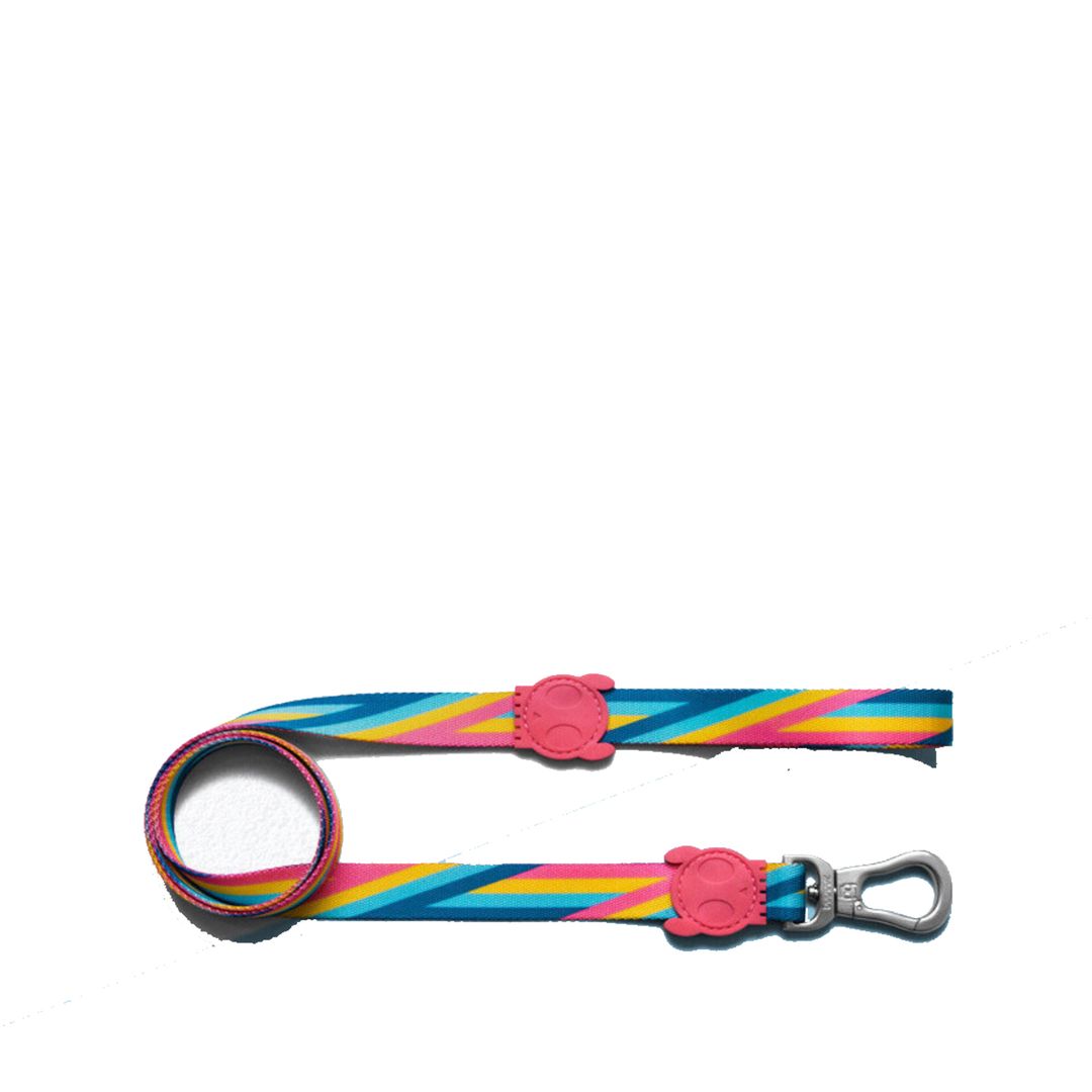 Bowie Leash